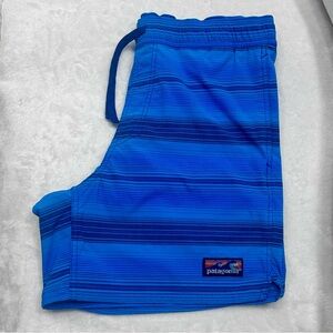 EUC Men’s Patagonia Shorts Royal Navy stripe size medium